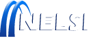 Logo Nelsi footer